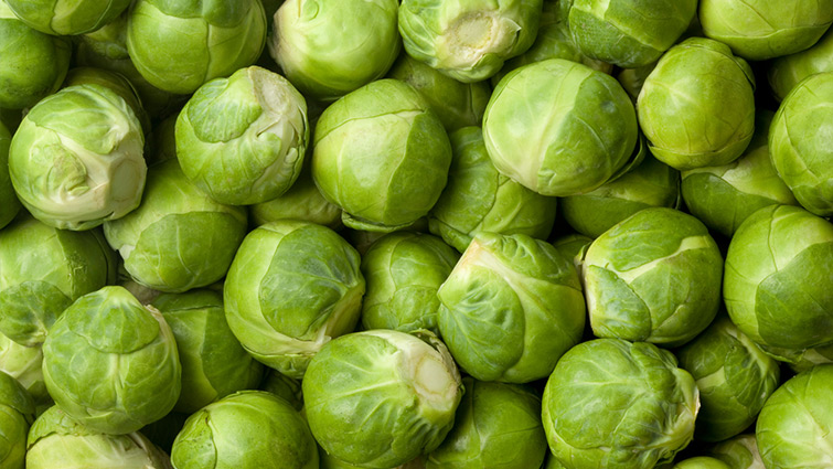 Picture of Brussels Sprouts