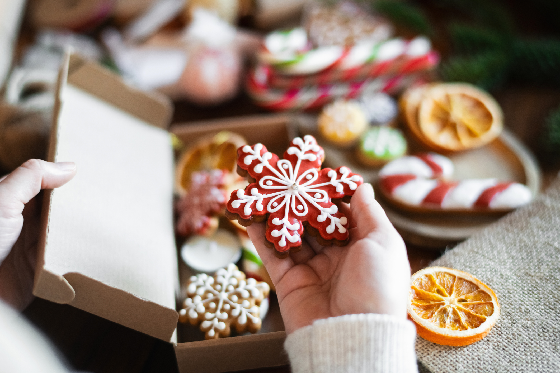 Decorated holiday cookies