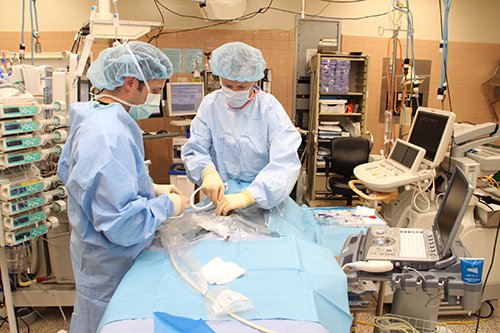 Anesthesiology and Internal Medicine Residents on Anesthesia Rotation in the Operating Room