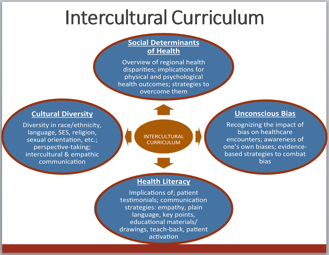 Intercultural Curriculum