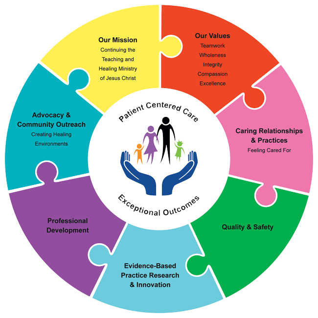 Professional Practice Model Nursing Patient Care Services Loma 