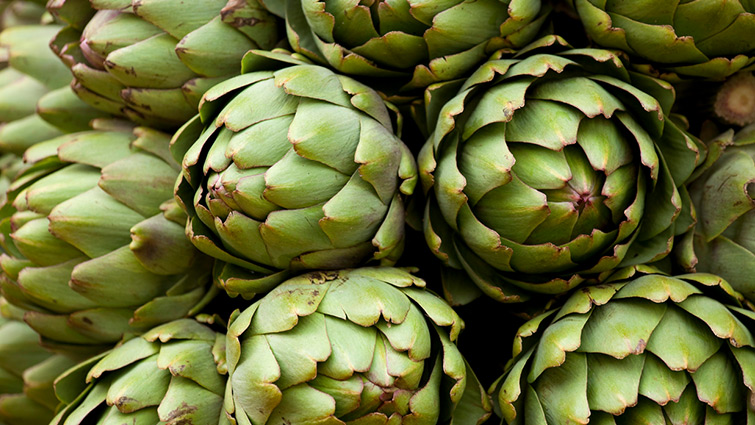 Picture of Artichokes