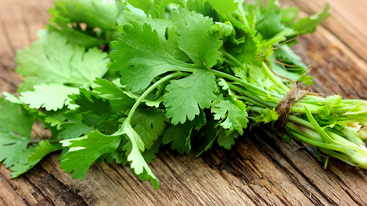 Picture of Parsley