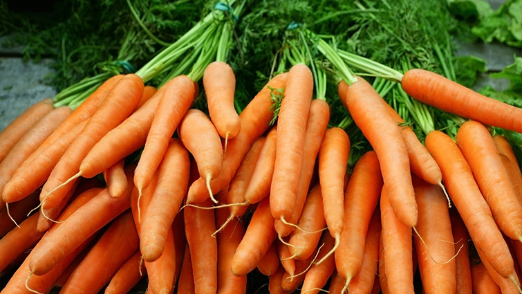 Picture of Carrots