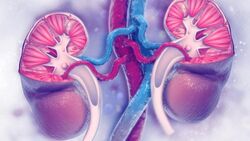 2025 Rare Kidney Disease Conference