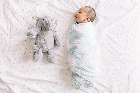 Swaddling a 2 week old newborn. Posing with stuffed elephant buddy.