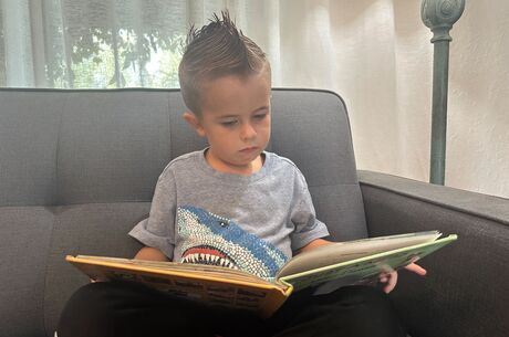 Young boy sits on sofa and reads book