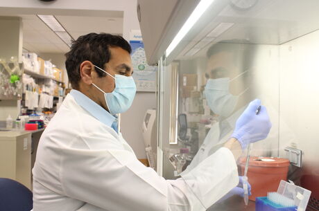 This Center of Excellence is led by Hisham Abdel-Azim, MD, MS, division chief of Transplant and Cell Therapy/Hematological Malignancies Dr, Hisham Abdel-Azim working in a clinical science lab