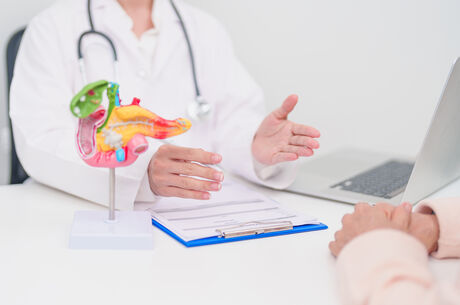 a doctor hands are open with a 3d model of a stomach on the table