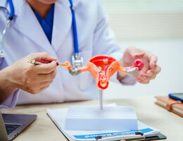 a doctor points to a 3d model of uterus 