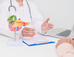 a doctor hands are open with a 3d model of a stomach on the table