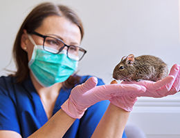 Animal Care Facility Core