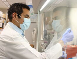 Loma Linda University Health’s cell therapy division receives accreditation