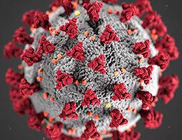 Coronavirus: Our Response