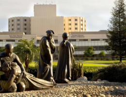 Community Health Report