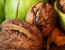 Walnuts and Healthy Aging Study