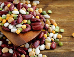 Legumes