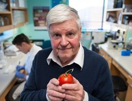Throwing Tomatoes at Autoimmune Diseases