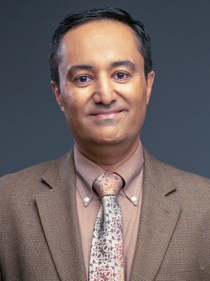 Mohammad Reza R. Amini, MD
