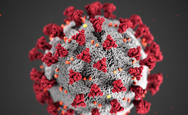 Coronavirus & Your Health