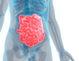 Technology’s role in the final frontier: the small intestine